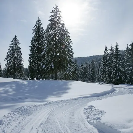 Stupka 3*